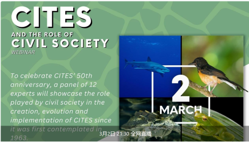 志愿者平台_捐款_证书_公益活动_中国绿发会 公益新闻 今晚2130共同庆祝《濒危野生动植物种国际贸易公约》成立50周年绿会融媒直播