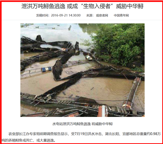 洪水中养殖中华鲟的逃逸危害生物多样性2.png 洪水中养殖中华鲟的逃逸危害生物多样性2.png