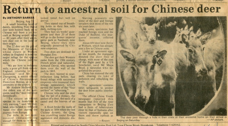13.1986年Nigel Sitwell发表在Intrepid杂志上的一篇麋鹿文章.jpg
