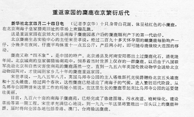 19. 1987年4月25日,小麋鹿新生:.jpg