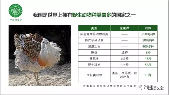微信图片_20190128153330.png