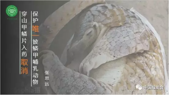 微信图片_20190125174438.png