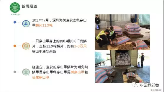 微信图片_20190125174440.png
