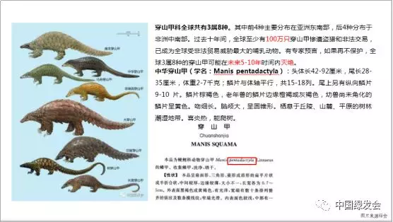 微信图片_20190125174441.png