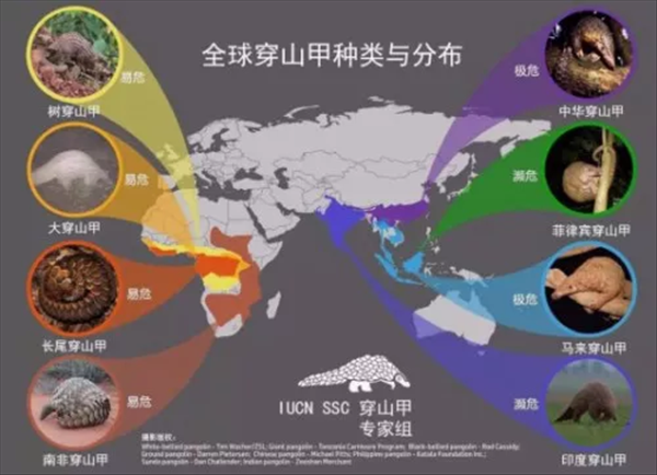 微信图片_20180621221433.png
