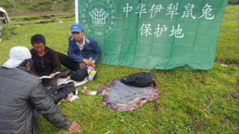 图片9.png 图片9.png